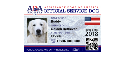 Service Animals And Assistance Animals